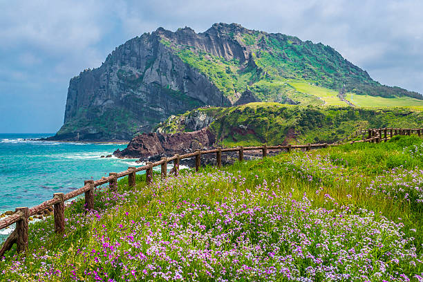 Chuyến bay đi Jeju