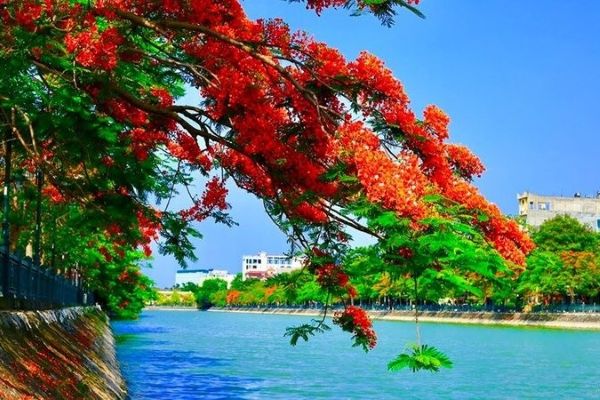 Chuyến bay đi Hải Phòng