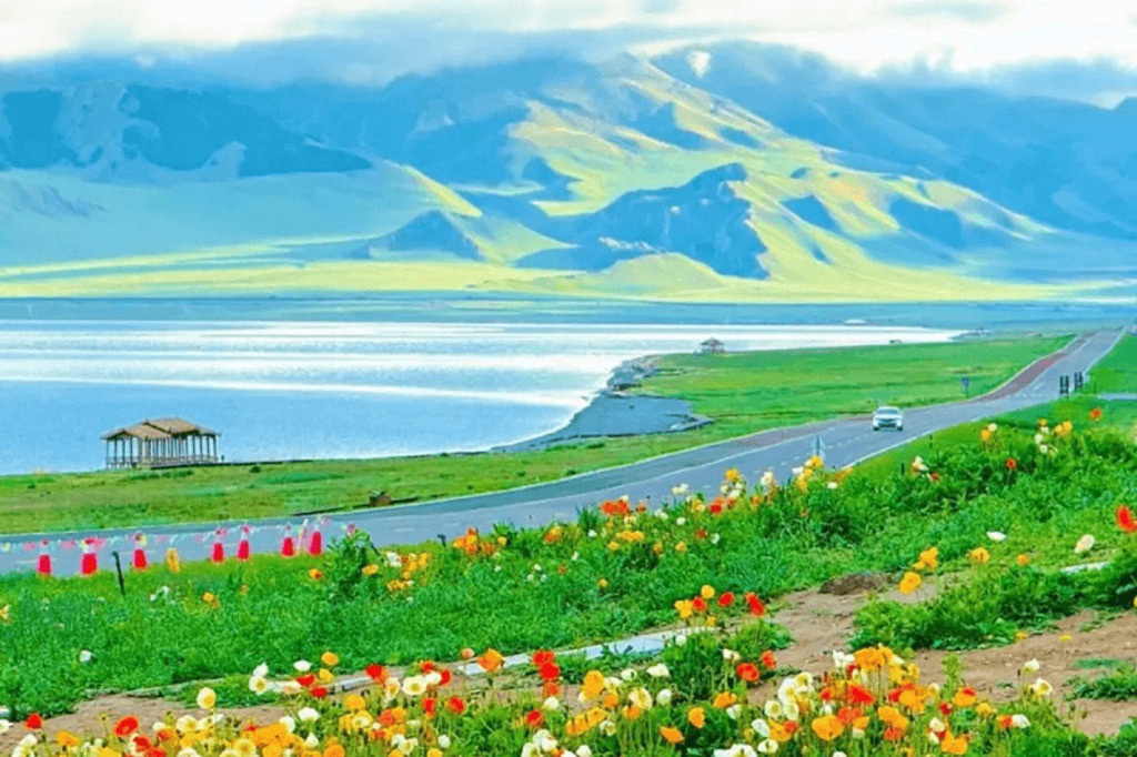 đoàn tour Hà Nội đi Tân Cương giữa thảo nguyên xanh