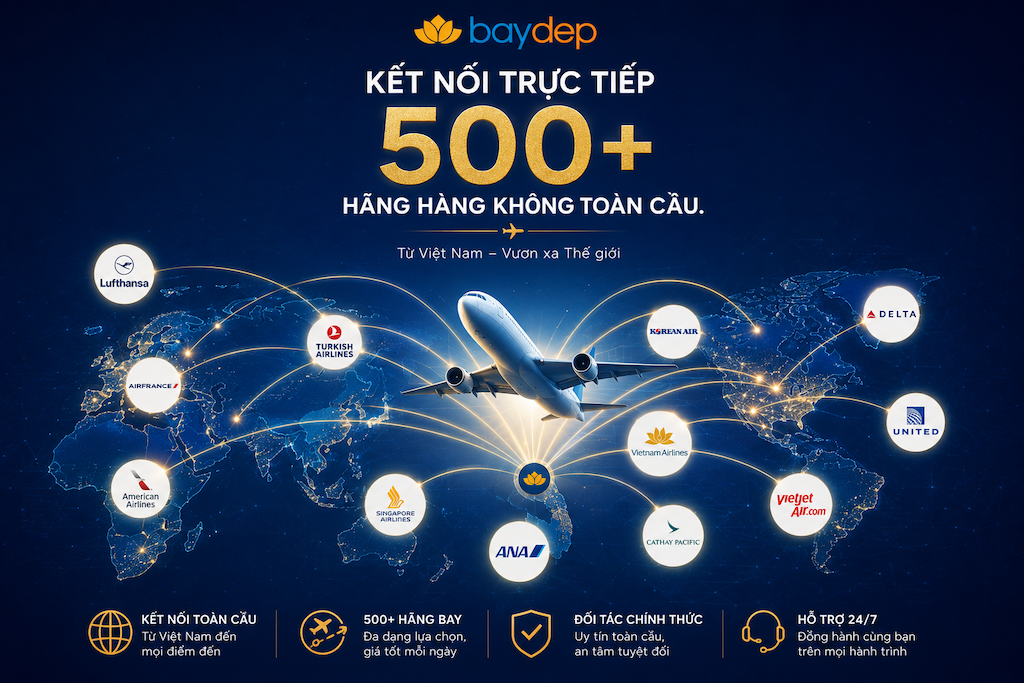đối tác của baydep