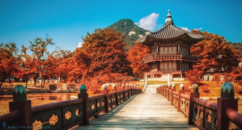 Tour ghép Hàn Quốc 2026: lịch đi, giá và cách chọn tour