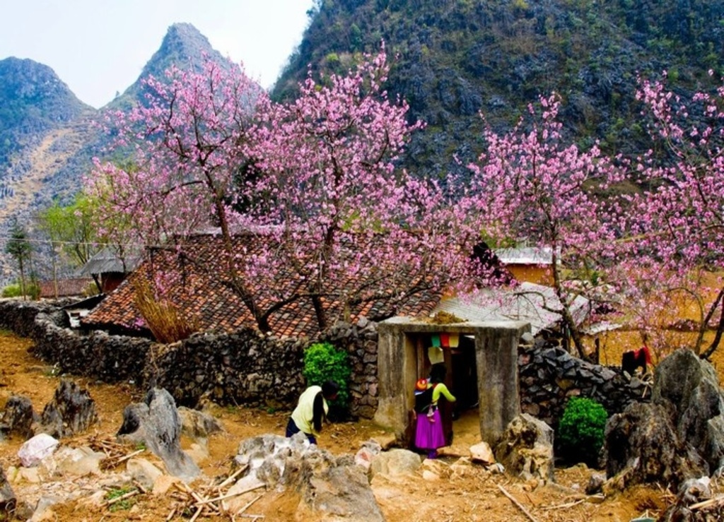 xe du lịch đưa khách qua cung đường núi Tây Bắc