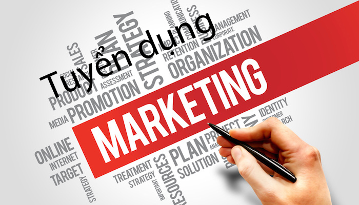 Trưởng phòng Digital Marketing
