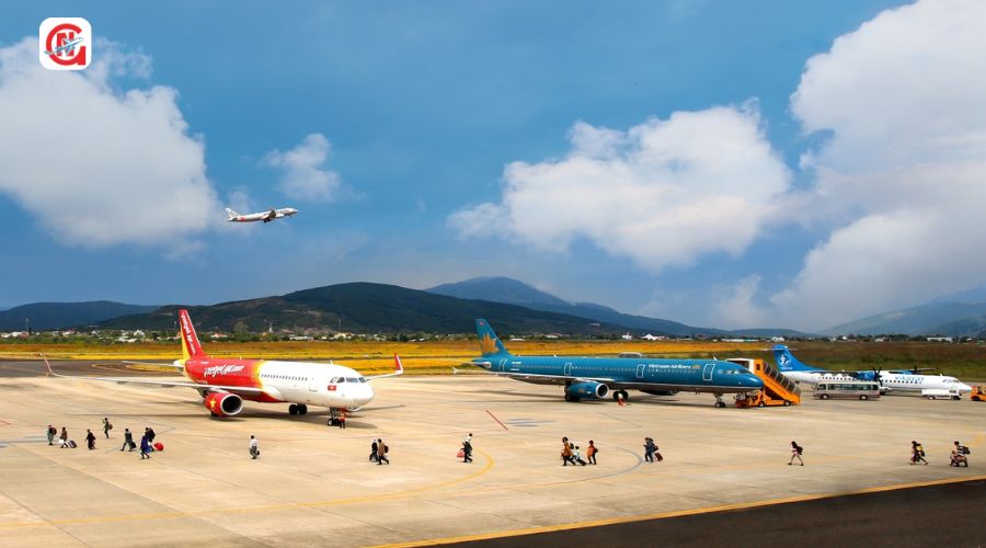 Kinh nghiệm bay đi Đà Lạt cho người mới