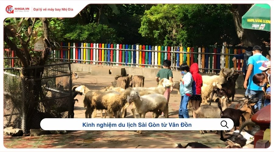 Kinh nghiệm du lịch Sài Gòn từ Vân Đồn