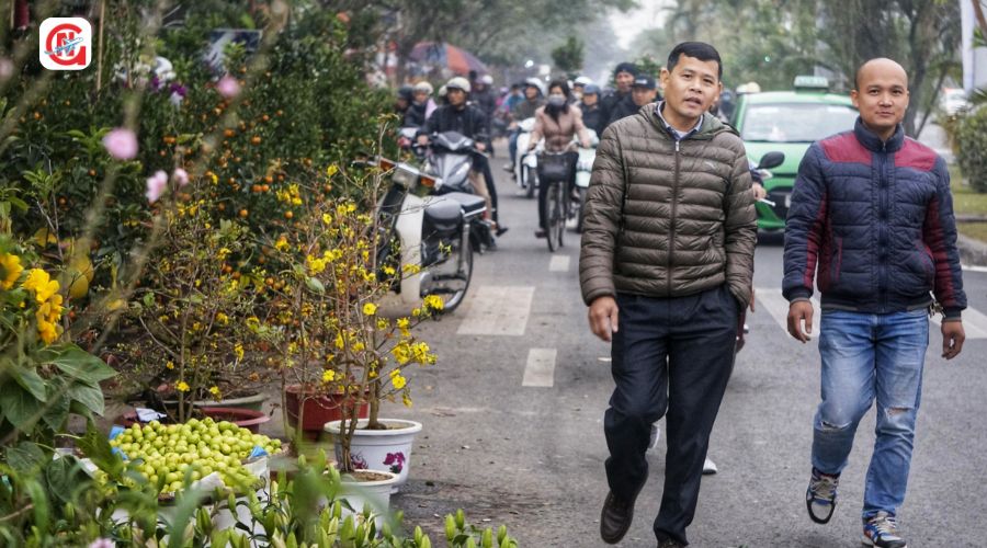 Tìm vé máy bay tết Sài Gòn Hải Phòng giá rẻ