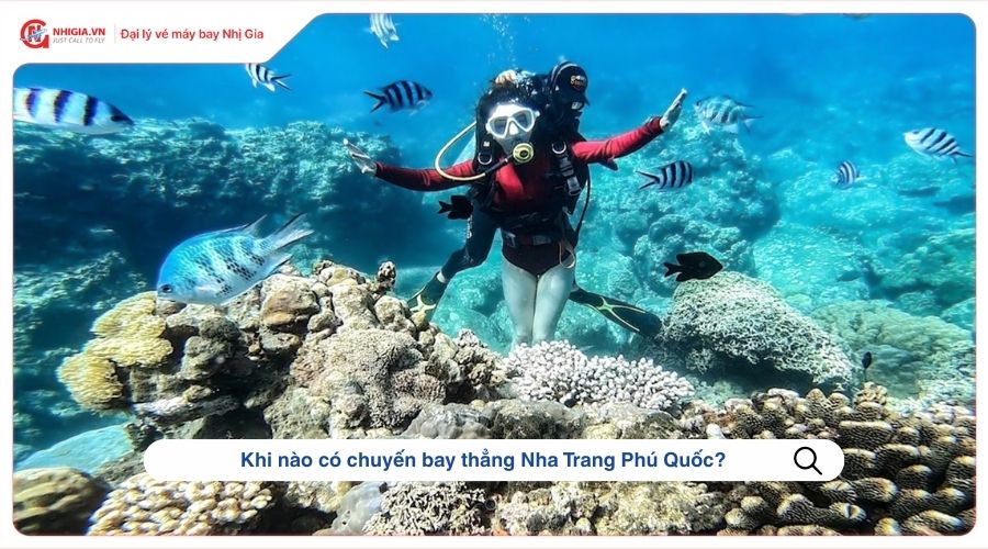 Khi nào có chuyến bay thẳng Nha Trang Phú Quốc?