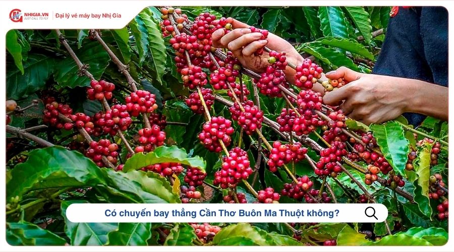 Có chuyến bay thẳng Cần Thơ Buôn Ma Thuột không?