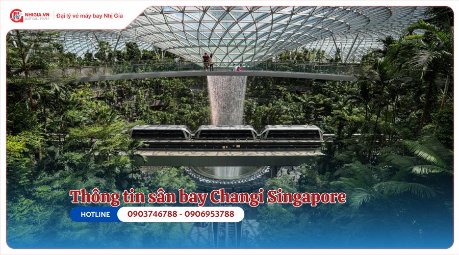 Thông tin sân bay Changi Singapore