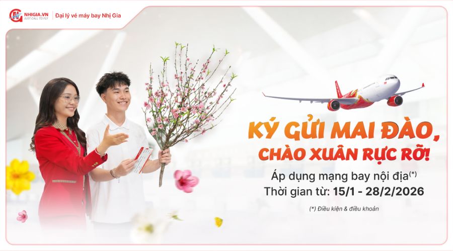 Ký gửi Mai Đào, Rực rỡ đón Xuân 2026