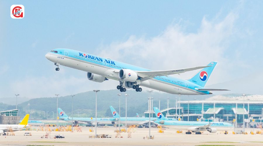 Hồ sơ và thủ tục cần thiết khi bay đi Hàn Quốc