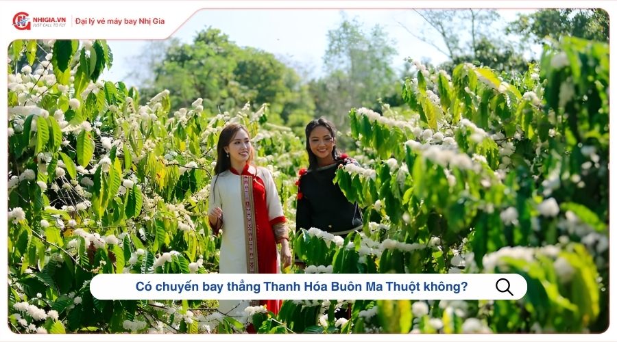Có chuyến bay thẳng Thanh Hóa Buôn Ma Thuột không?