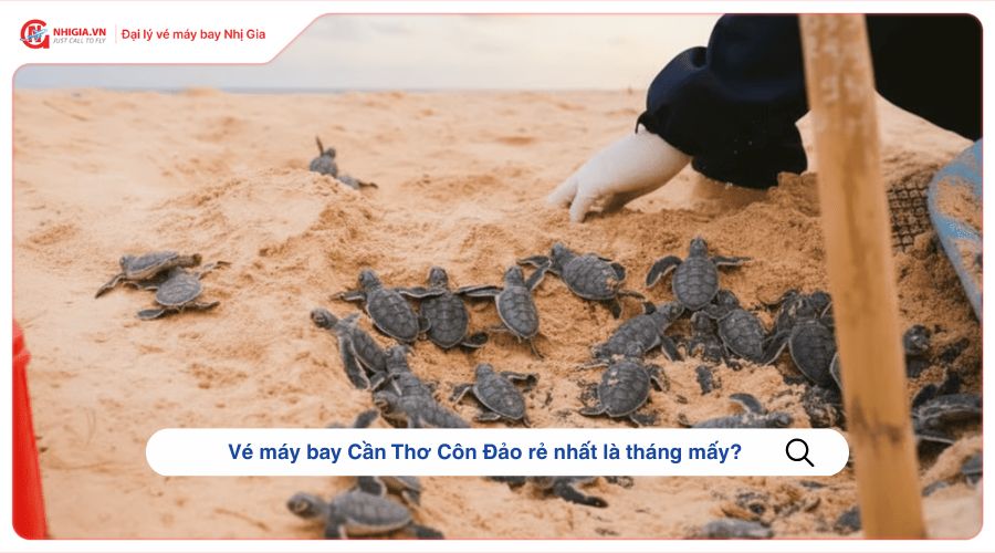 Vé máy bay Cần Thơ Côn Đảo rẻ nhất là tháng mấy?
