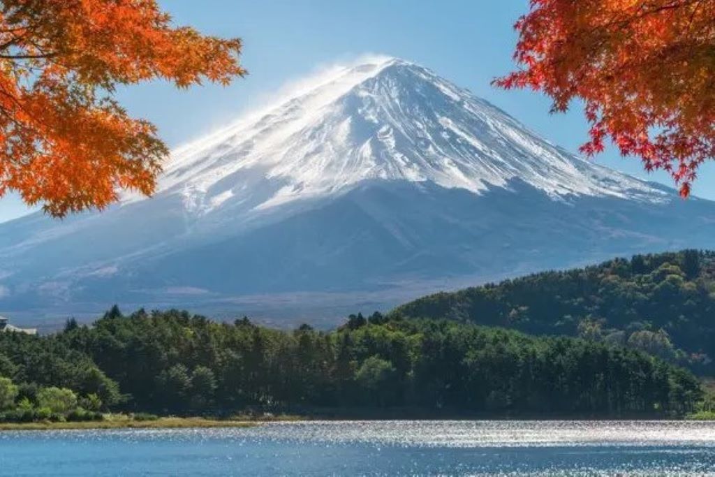 kinh nghiệm du lịch Tokyo tự túc tại giao lộ sầm uất shibuya