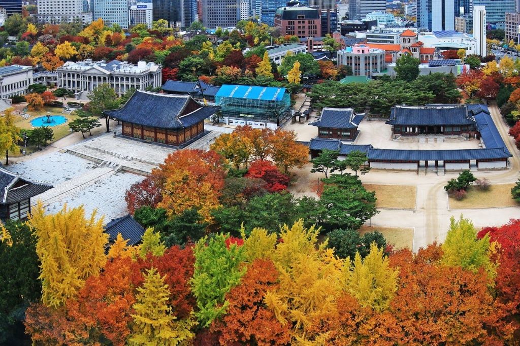phong cảnh mùa thu lá đỏ tại cung điện deoksugung seoul