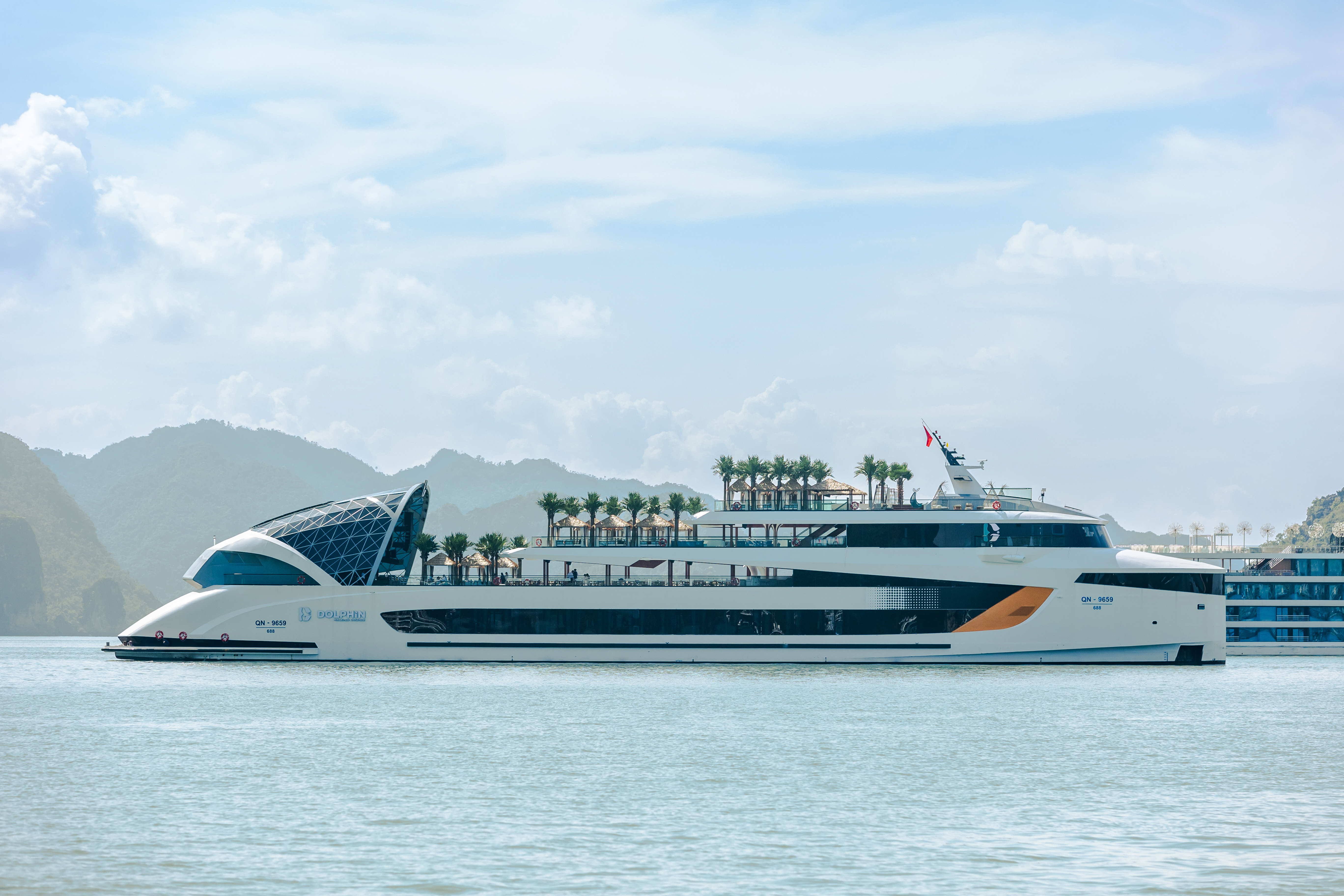 Dolphin Cruise 
