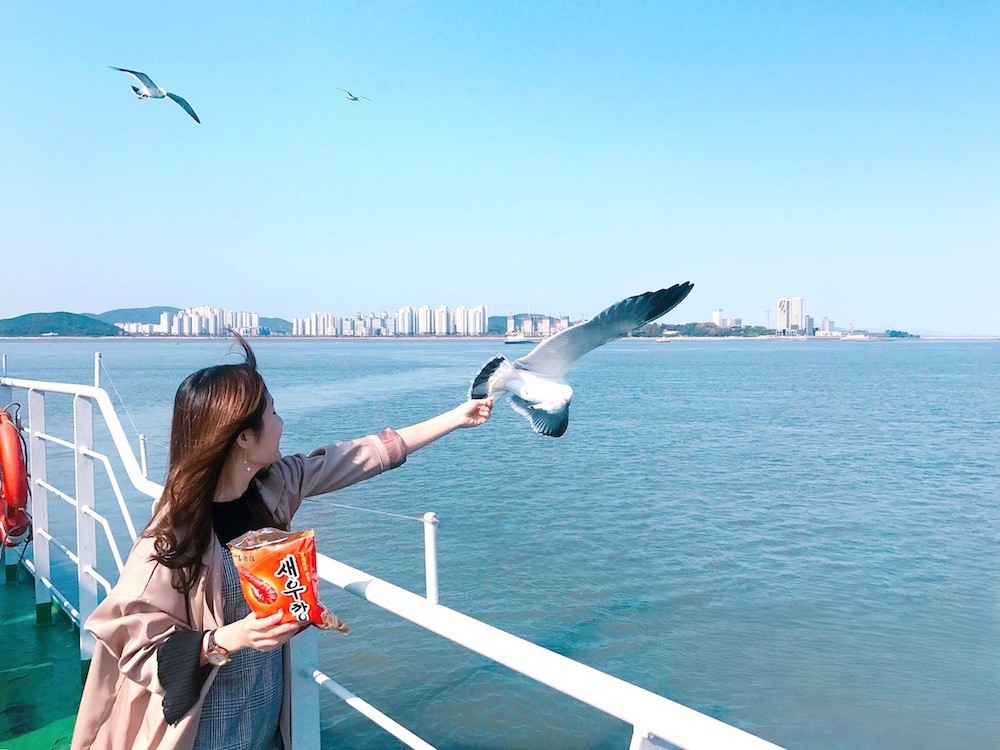 Tour hè xuân Busan - Seoul No Shopping (Tour ghép - Vietnam Airlines)