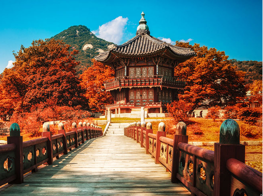 Tour Thu Đông Hàn Quốc 2026: Seoul - Nami - Starfield (Tour ghép - Vietnam Airlines)