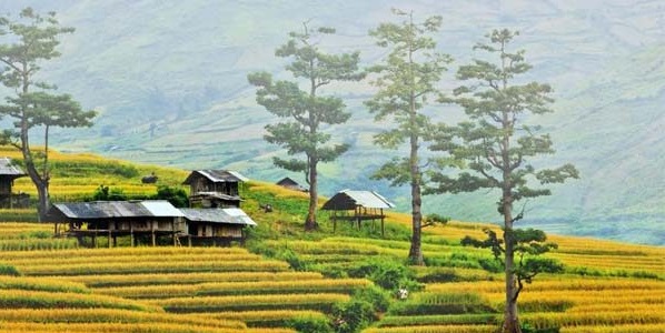 Mai Châu Mộc Châu - Hành trình văn hóa Tây Bắc