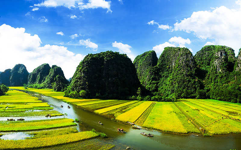 Hoa Lư - Tam Cốc - Hang Múa